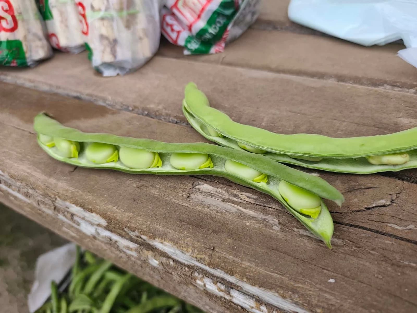 Habas la verdura menos vendida en el mercado provincial