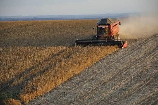 El agro argentino marcó un récord de exportaciones en los primeros nueve meses de 2026