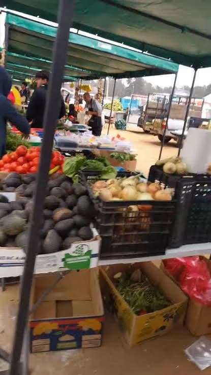 Mira los precios de la feria de calle 25 de Mayo
